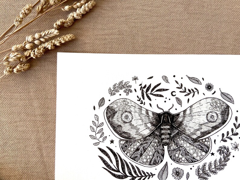 Moth original drawing, original illustration, moth original wall art image 6