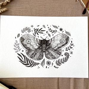 Moth original drawing, original illustration, moth original wall art image 1