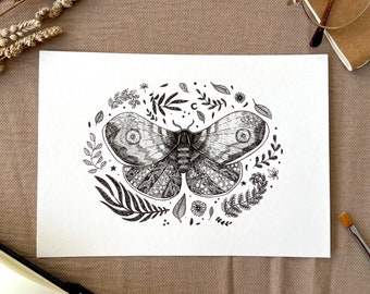 Moth original drawing, original illustration, moth original wall art