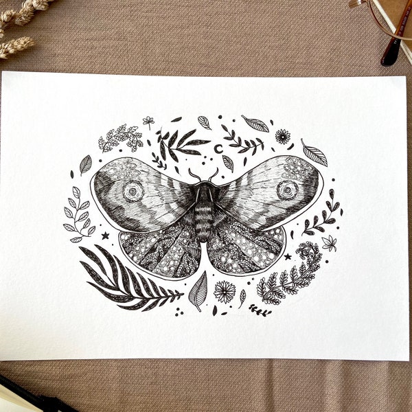 Moth dessin original, illustration originale, moth original wall art