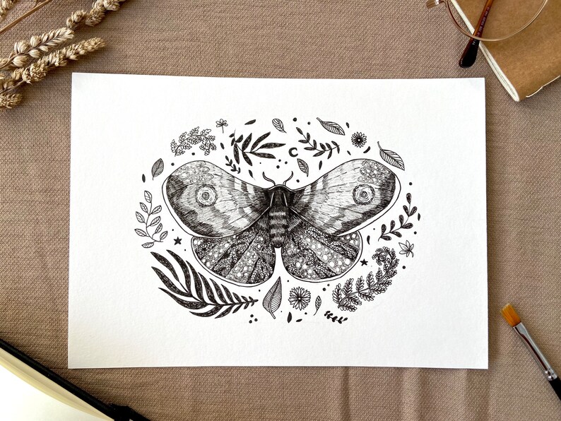 Moth original drawing, original illustration, moth original wall art image 1