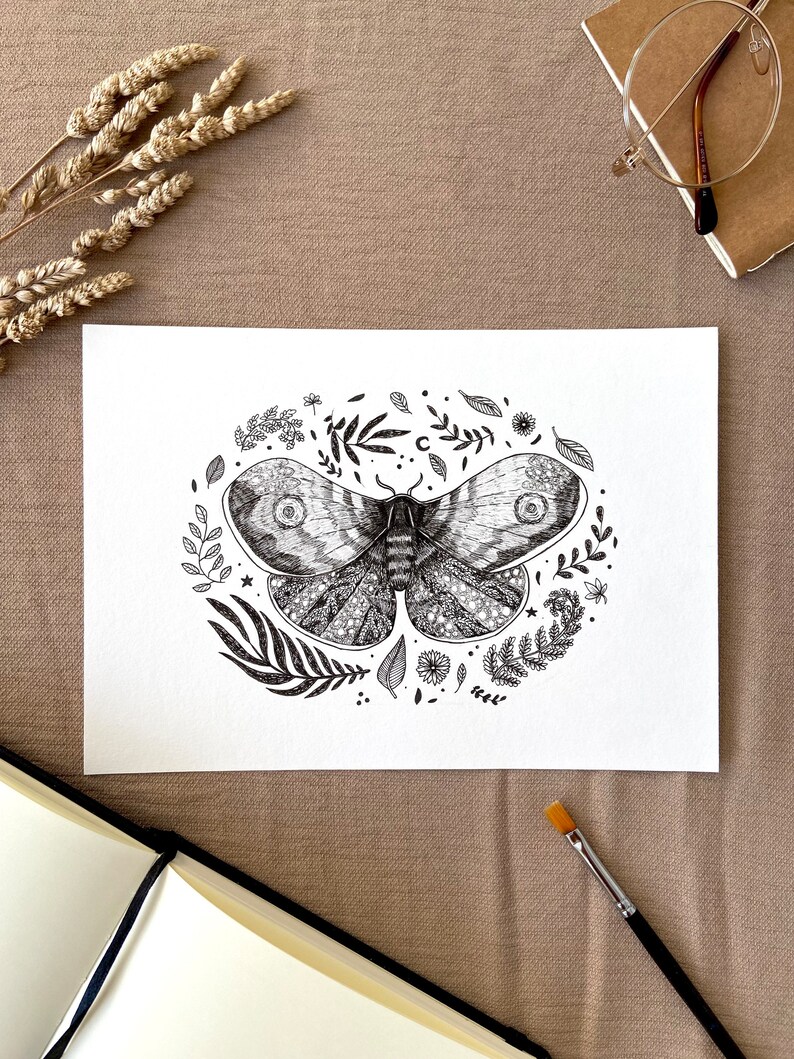 Moth original drawing, original illustration, moth original wall art image 3