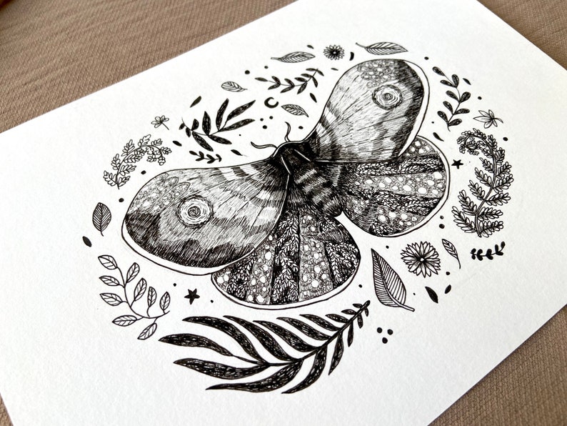 Moth original drawing, original illustration, moth original wall art image 9