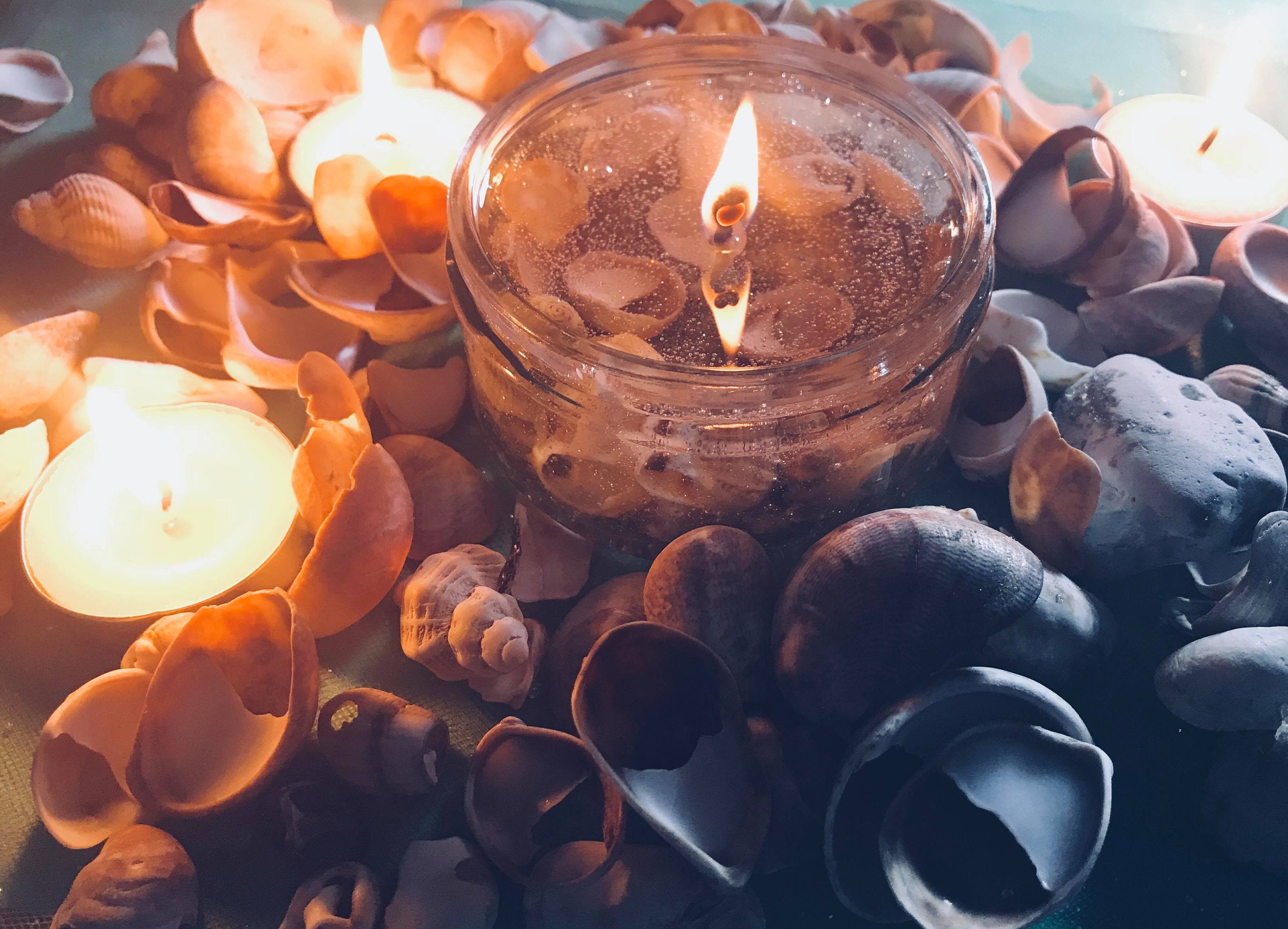 Muschelkerze Klare Gel Wachs 40 Stunden Brennzeit Vegan Etsy