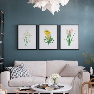 Flower Prints - Set of 3 | Printable Wall ART | Plants, Nature | 3 Prints Set Wall Art | Poster | Decoration | Instant Download