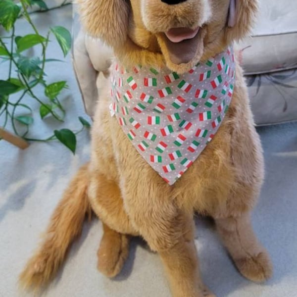 Italian Flag Dog Etsy