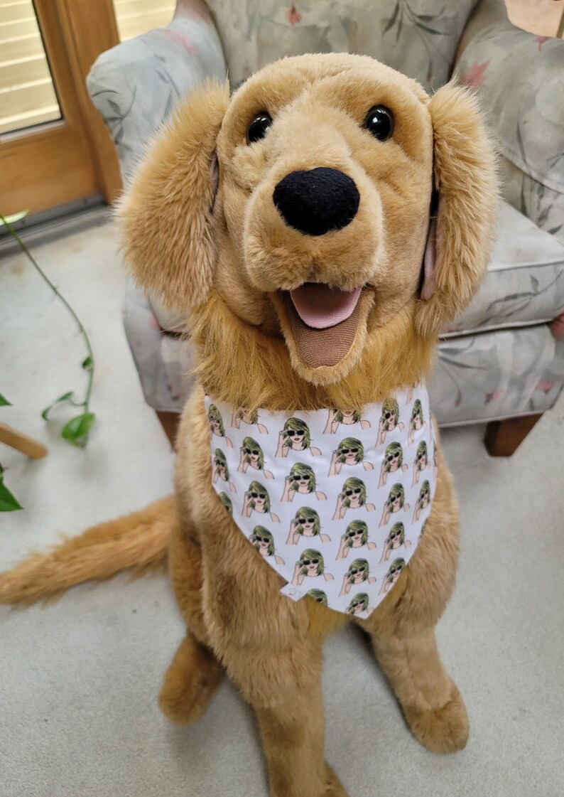 TAYLOR SWIFT Dog Bandana Swiftie Like Sunglasses Handcrafted Pet TAYLOR SWIFT Dog Bandana Swiftie Like Sunglasses Handcrafted Pet