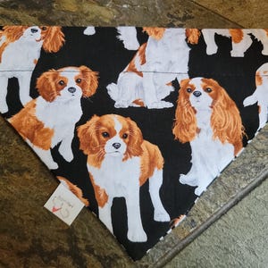 May include: A black dog bandana featuring a repeating pattern of Cavalier King Charles Spaniels in shades of brown, white, and tan. The bandana is triangular in shape and has a small tag attached to it.