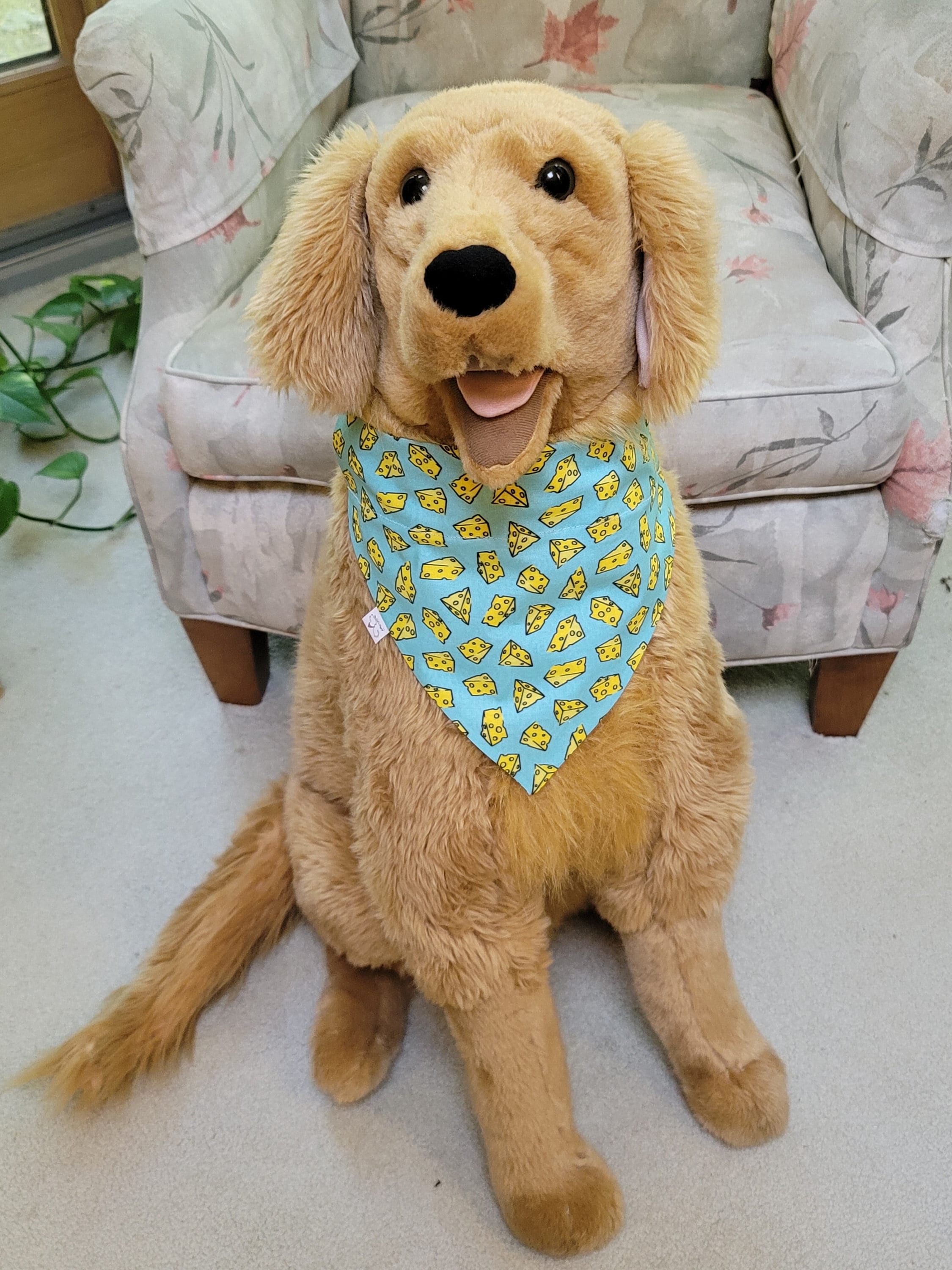 Funky dog cheap bandanas
