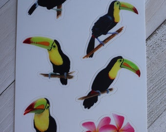 Watercolor Toucan Sticker Sheet