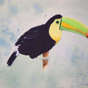 Watercolor Toucan Bird