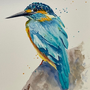 Watercolor kingfisher