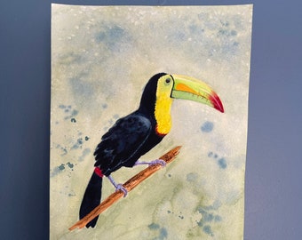 Tropical Toucan