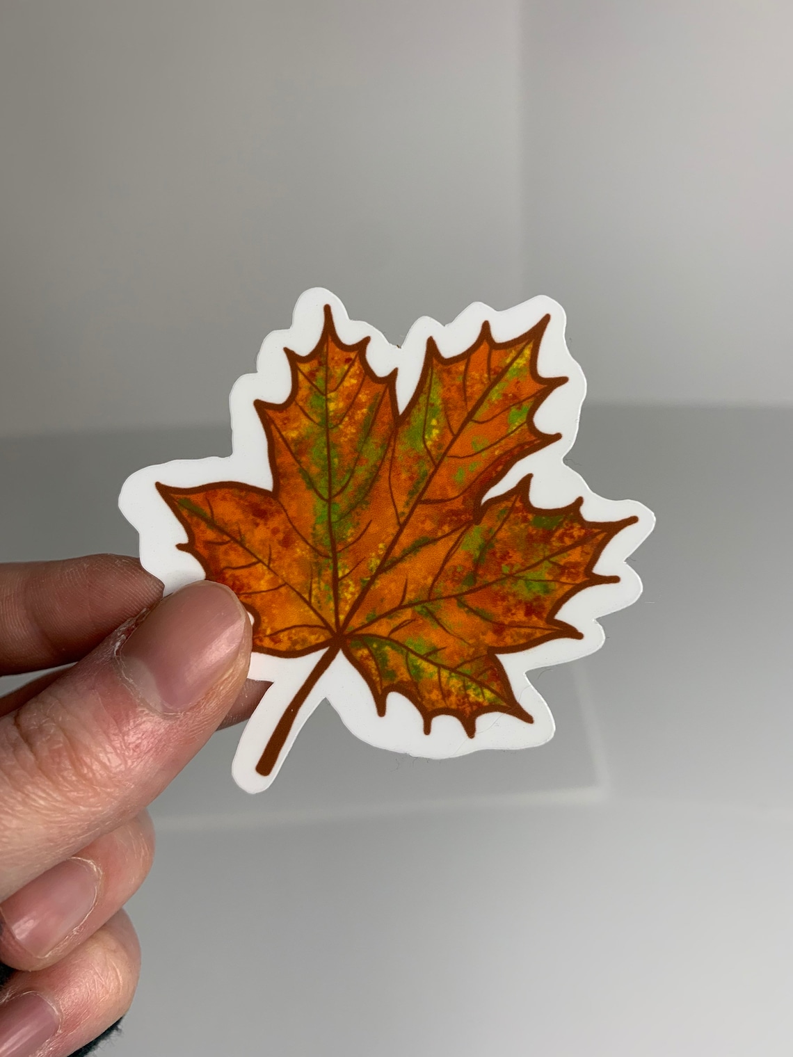 Maple Leaf Red Sticker Etsy