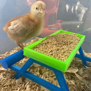 Small Chick Picnic Table Perch image 1