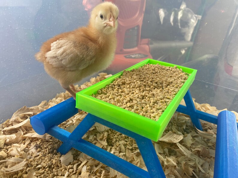 Small Chick Picnic Table Perch image 1