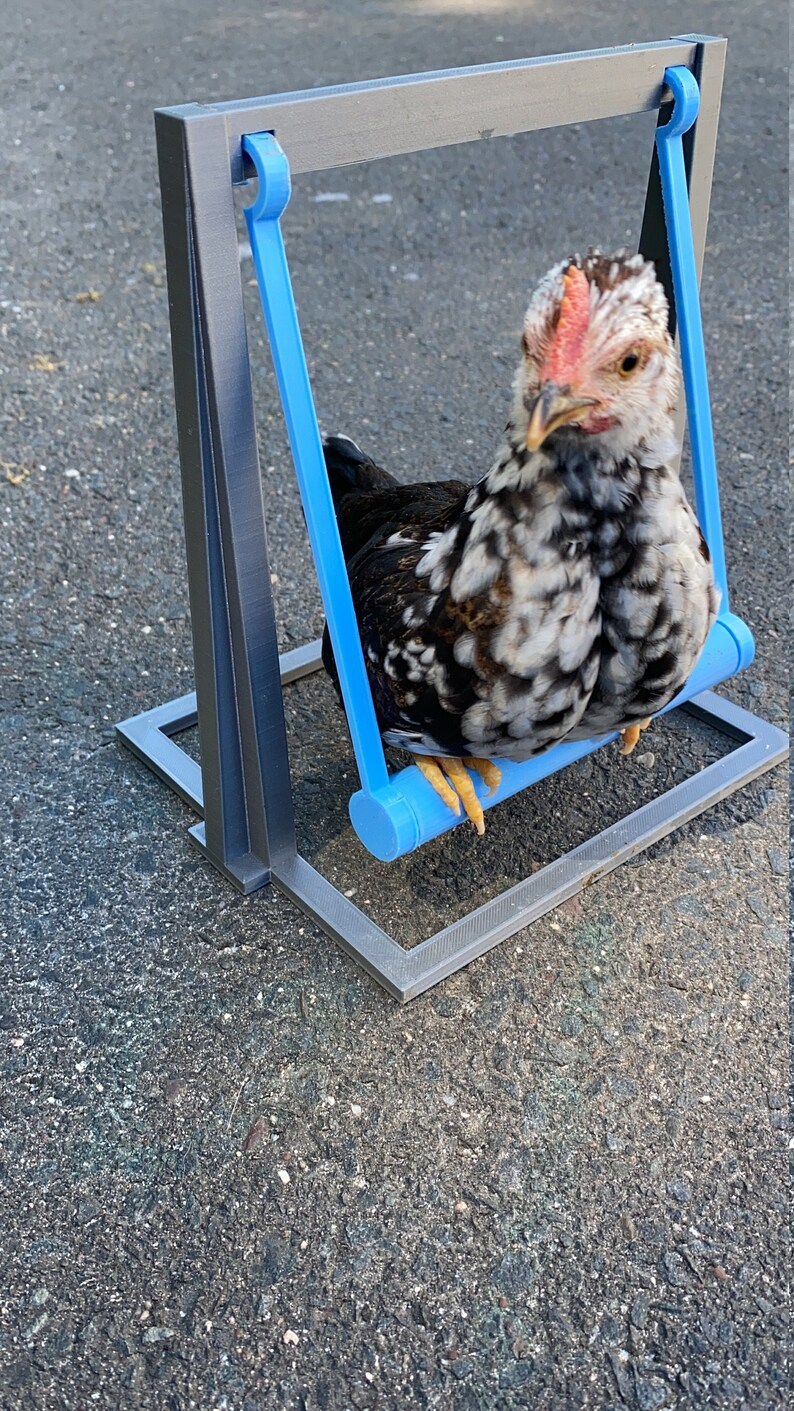 Chick Swing Bird Swing Etsy