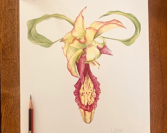May include: Watercolor painting of a pink and yellow orchid with green leaves. The orchid is in bloom and has a long, slender stem. The painting is signed "k.green" in the bottom right corner.