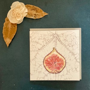 Individual Greetings Card - Forbidden Fruit (Fig)