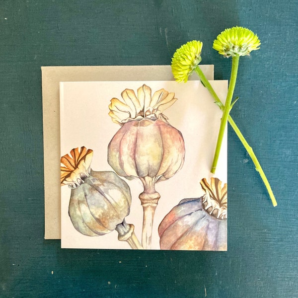 Individual Greetings Card - Poppy Seed Heads