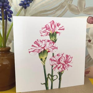 Tarjeta de felicitación individual - Enero - Clavel (Flor de nacimiento)