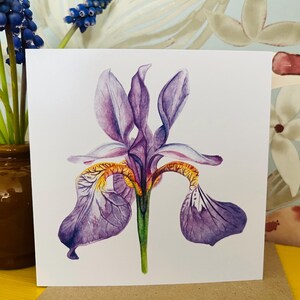 Tarjeta de felicitación individual - Febrero - Iris (Flor de nacimiento)