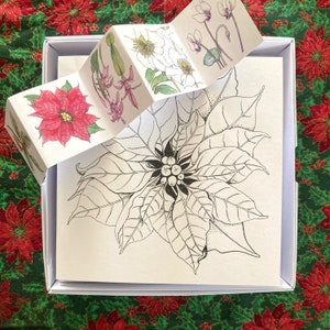 Inverno {Pinte seus próprios cartões de Natal} Cinco cartões de felicitações de arte botânica Caixa de presente