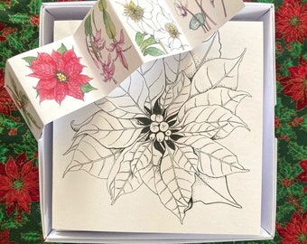 Winter {Paint Your Own Christmas Cards} Five Botanical Art Greeting Cards Gift Box