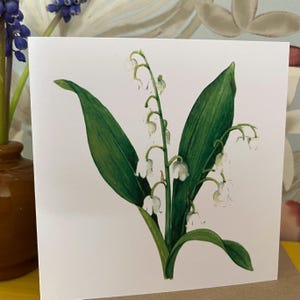 Carte de voeux individuelle - Mai - Muguet (fleurs de naissance)