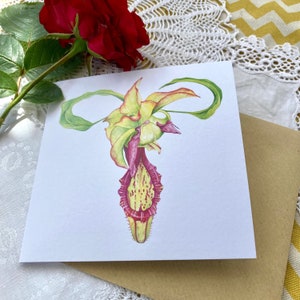 Individual Greetings Card - Botanical Womb II