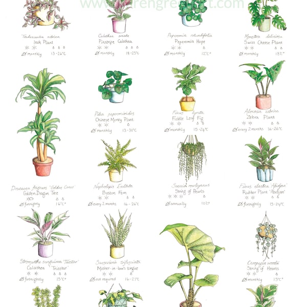 How Not to Kill Your Houseplants Poster