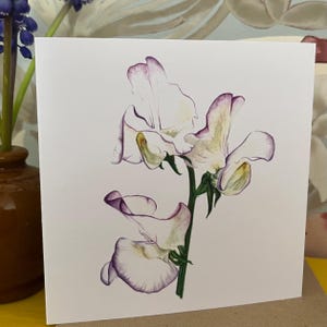 Tarjeta de felicitación individual - Abril - Guisante de olor (flor de nacimiento)