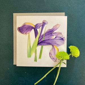 Individuele wenskaart - Iris