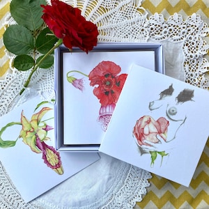 Botanical Wombs - Caixa de presente de arte botânica com 5 cartões comemorativos