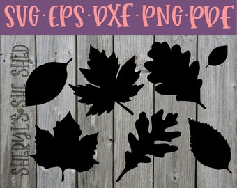 Mehrere Blätter Vielfalt Grafik Design für Herbst oder Thanksgiving SVG pdf PNG eps DXF Digital Cut or Print Files