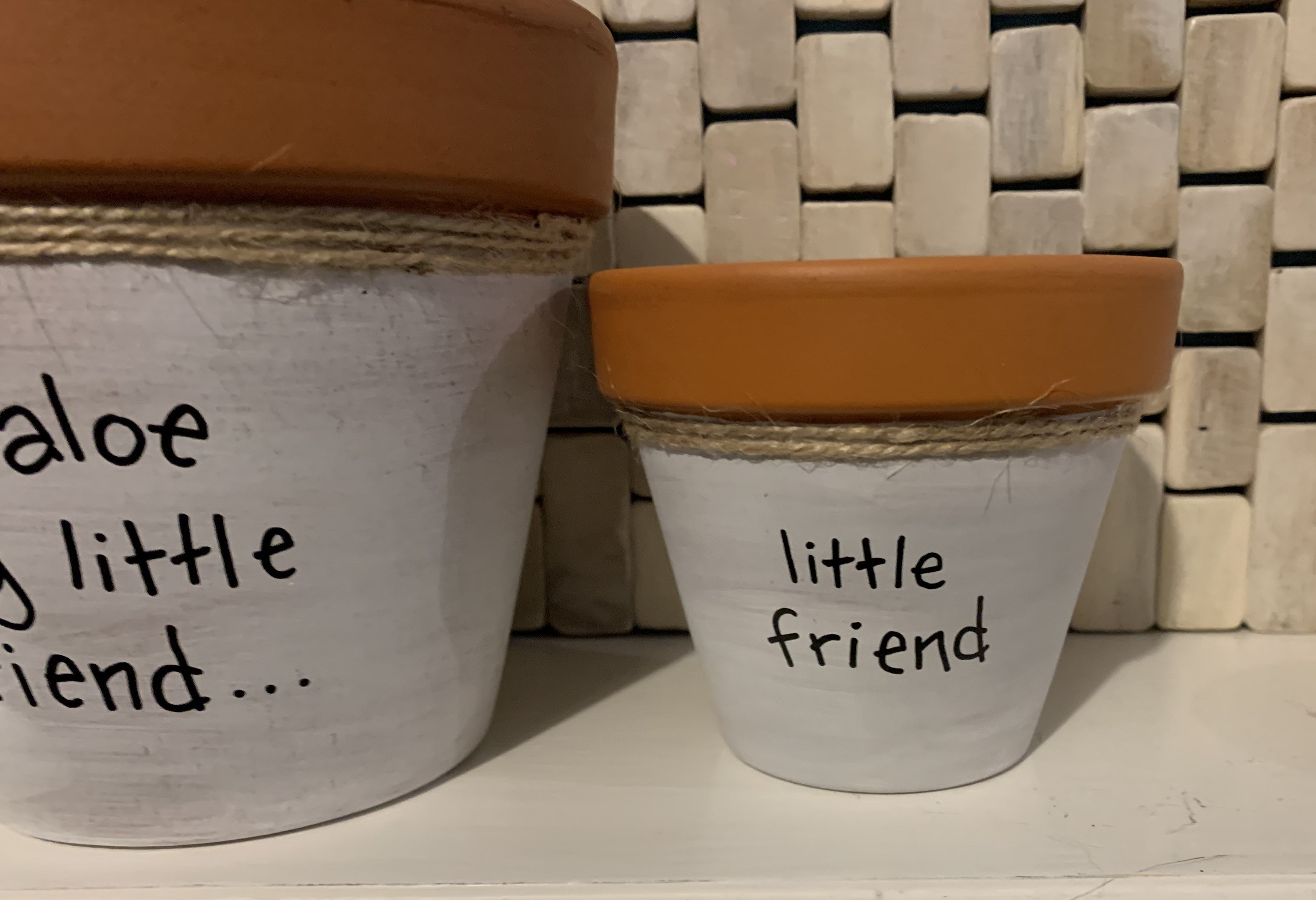 Aloe Vera Say aloe to my little friend herb Hand painted Etsy