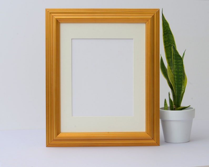 May include: A gold picture frame with a white mat and a blank white space inside. The frame is sitting on a white surface next to a potted plant with green leaves.