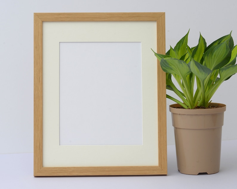 May include: A rectangular wooden picture frame with a cream-colored mat and a blank white space for a photo or artwork. A potted plant with green and yellow leaves sits to the right of the frame. The frame has a light brown color.