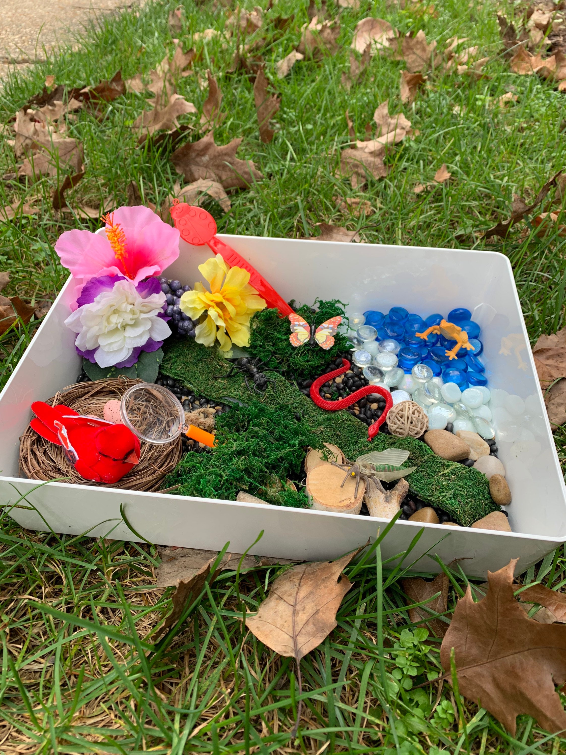 Nature Sensory Bin Explore Sensory Bird Sensory Gift Etsy