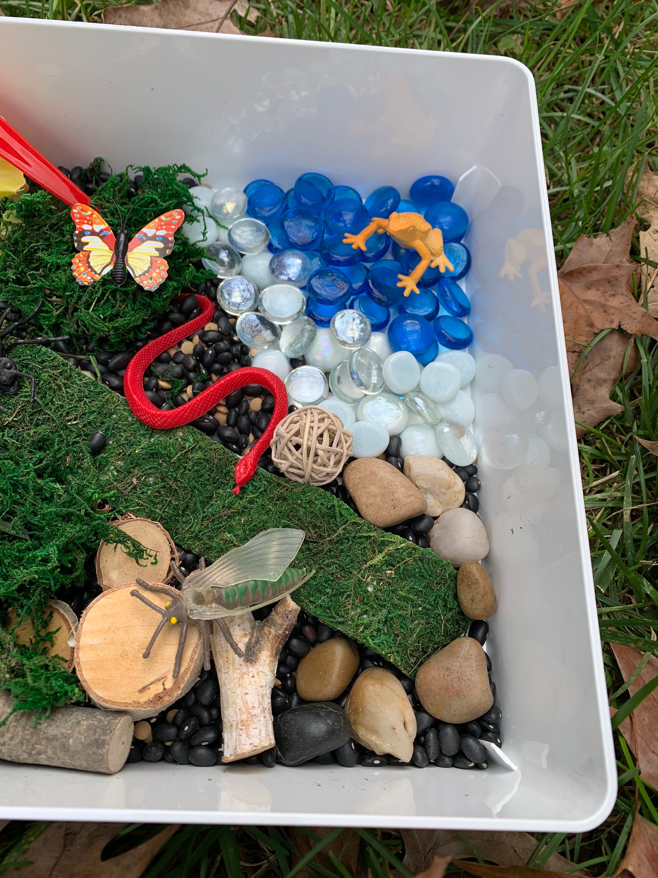 Nature Sensory Bin Explore Sensory Bird Sensory Gift Etsy