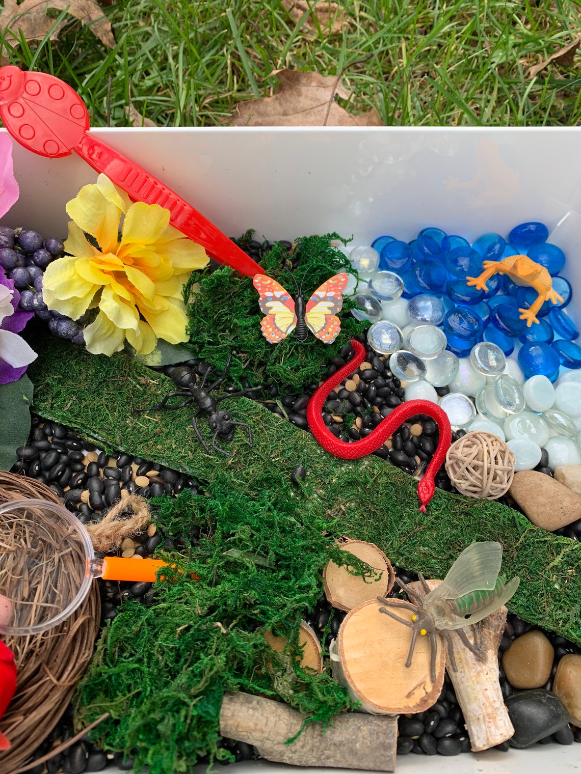 Nature Sensory Bin Explore Sensory Bird Sensory Gift Etsy