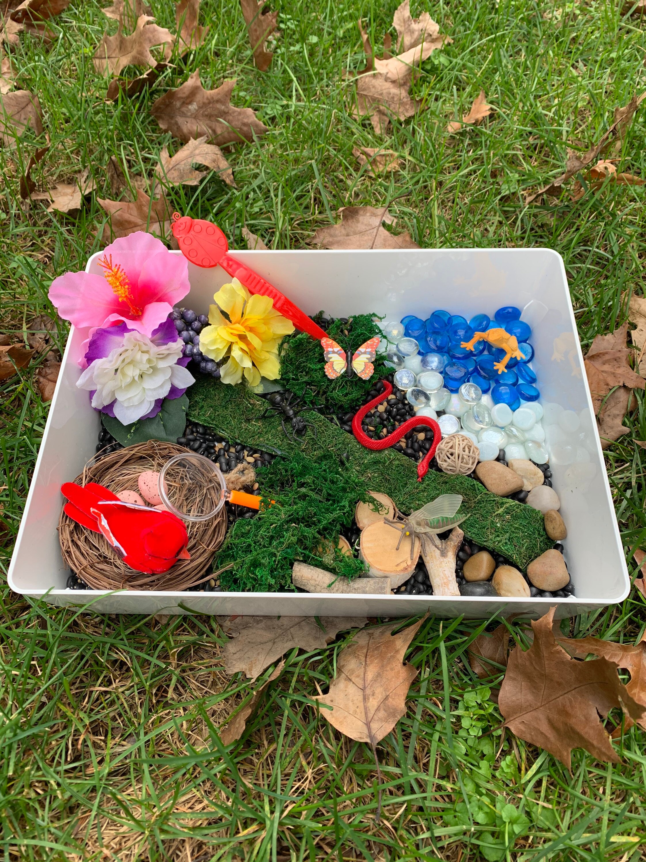 Nature Sensory Bin Explore Sensory Bird Sensory Gift Etsy