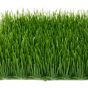 May include: A green artificial grass mat with a textured surface. The mat is made of plastic and has a realistic look.