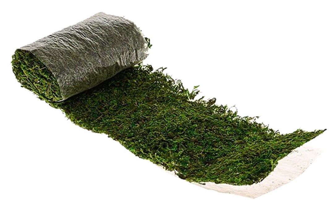 Natural Preserved Moss Roll 100 X 16cm Versatile Greenery for Craft & Decor Etsy UK