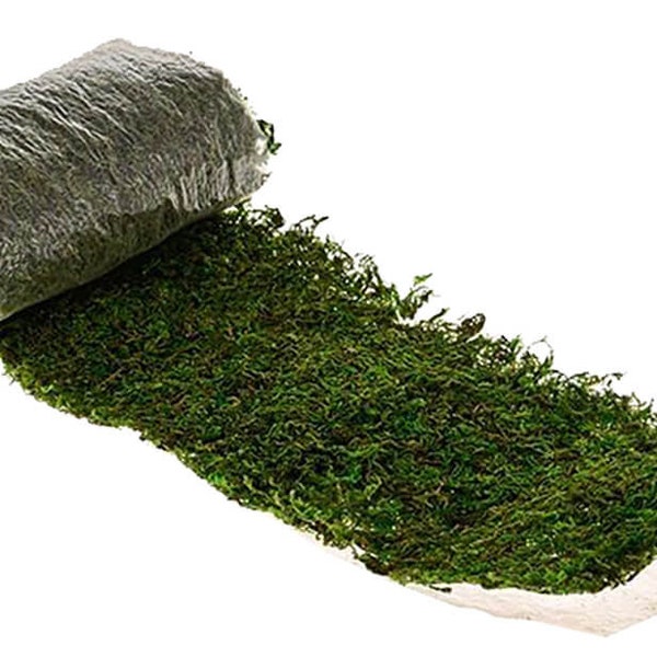 Natural Preserved Moss Roll - 100 x 16cm - Versatile Greenery for Craft & Decor