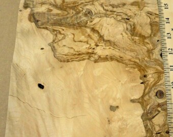 Olive Ash Burl wood veneer 9/" x 15/" raw no backing 1//42/" thickness /"AA/" grade