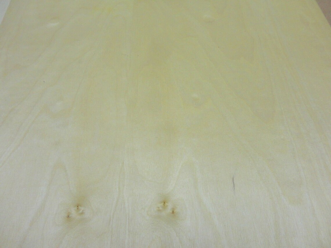 Yellow Birch Wood Veneer 24 X 24 With Paper Backer Etsy