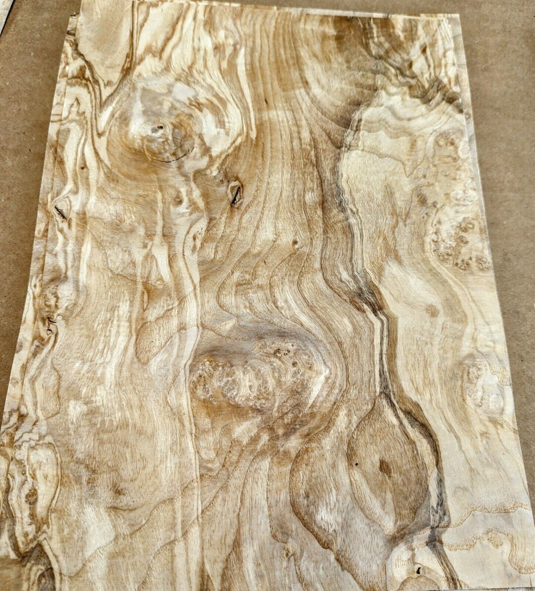 Olive Ash Burl Wood Veneer 10" X 14" Raw No Backing 1/42" Thickness AA ...