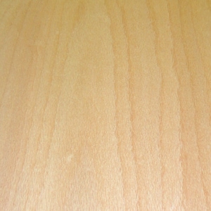 Beech Steamed Flat Cut wood veneer sheet 24&quot; x 48&quot; on paper backer 1/40&quot; thick
