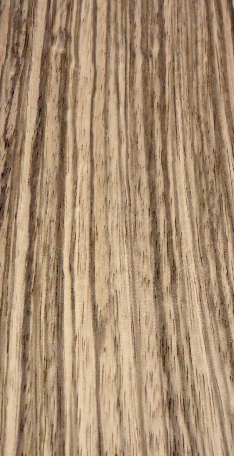Zebrawood Wood Veneer Edgebanding 7/8 X 120 With Preglued Iron Adhesive